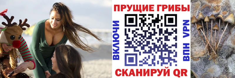 даркнет сайт  дарк нет формула  Псилоцибиновые грибы GOLDEN TEACHER  Узловая 
